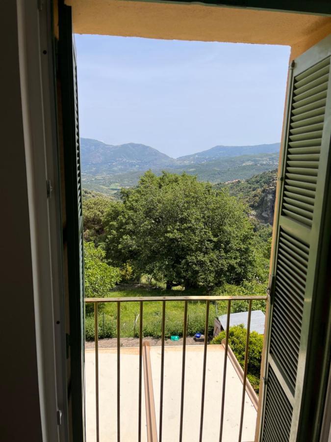 Castagnu Apartment Santo-Pietro-di-Tenda Luaran gambar